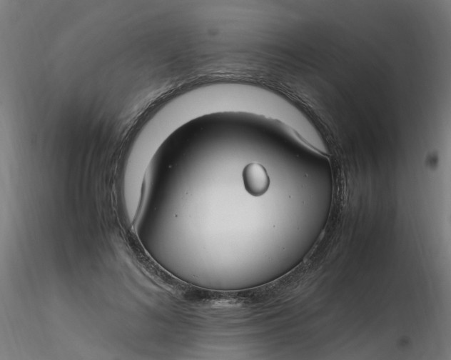 X0000116350692200912221502