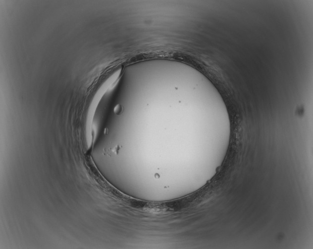 X0000116350693200912221502