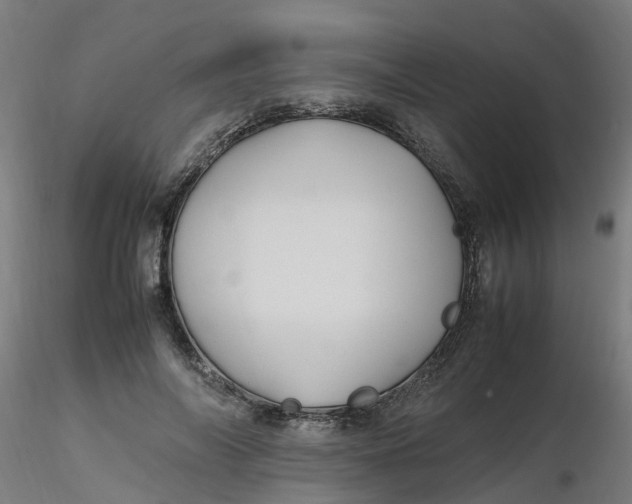 X0000116350694200912221502