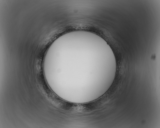 X0000116350695200912221502