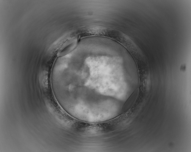 X0000116350696200912221502