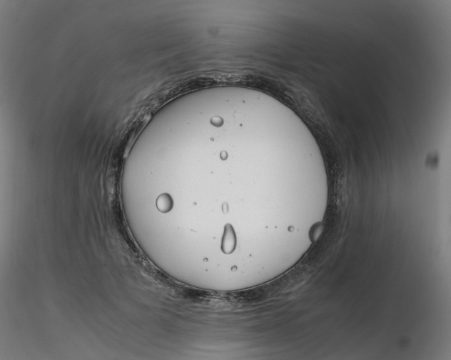 X0000116350697200912221502