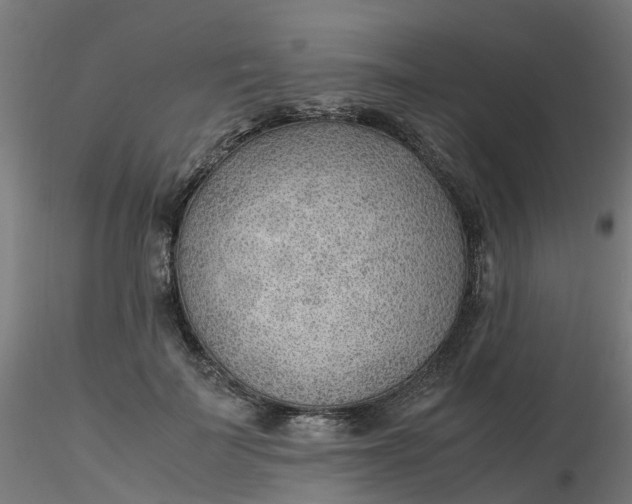 X0000116350699200912221502