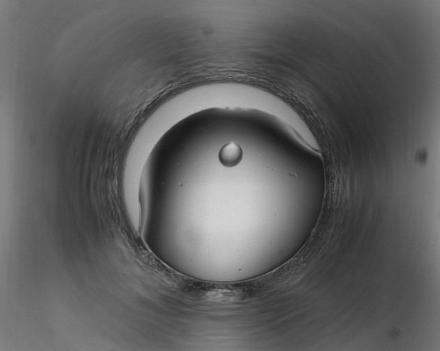 X0000116350700200912221502