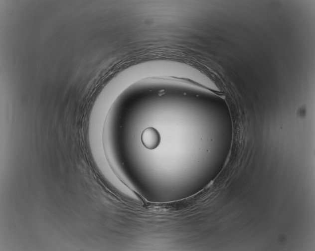 X0000116350701200912221502