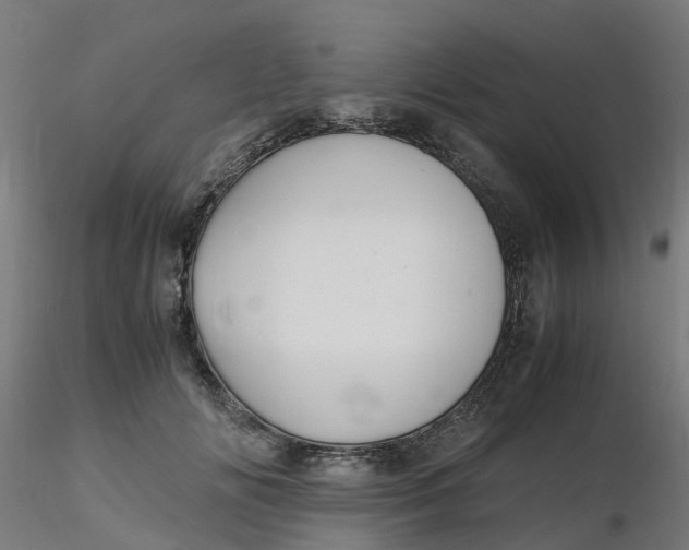 X0000116350702200912221502