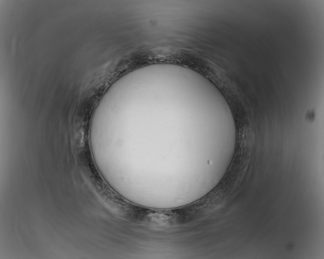 X0000116350703200912221502