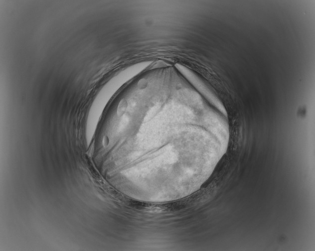 X0000116350704200912221502