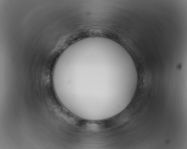 X0000116350706200912221502