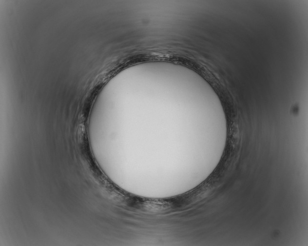 X0000116350707200912221502