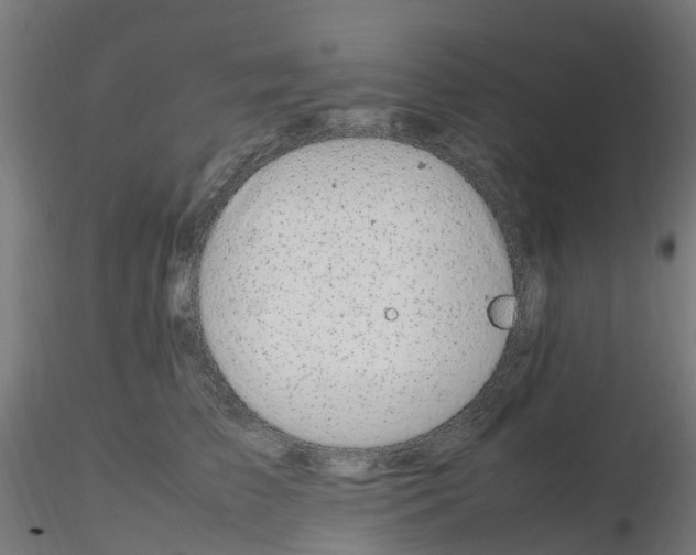 X0000116350709200912221502