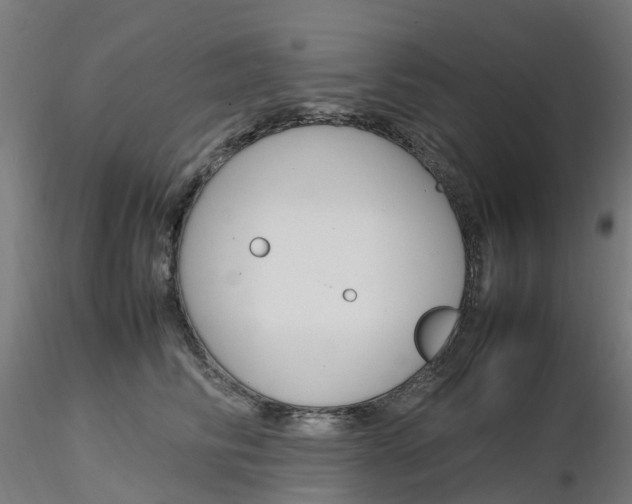 X0000116350710200912221502