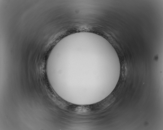 X0000116350714200912221502