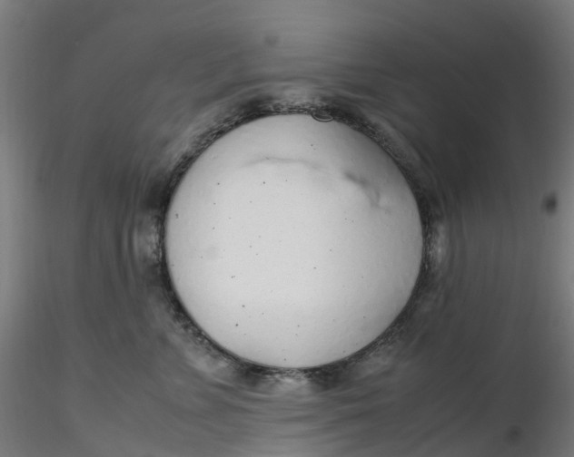 X0000116350715200912221502