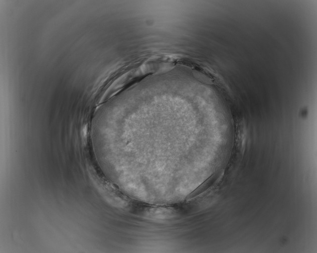 X0000116350716200912221502