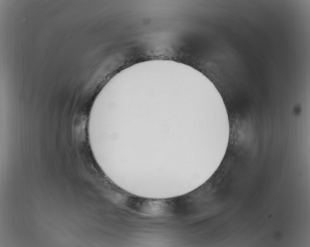 X0000116350717200912221502