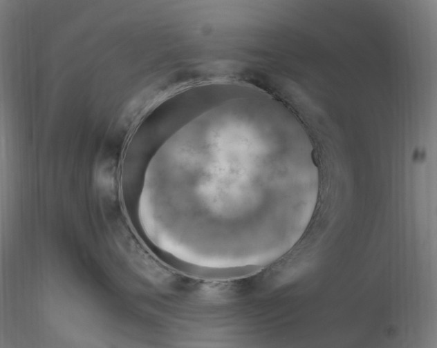 X0000116350720200912221502