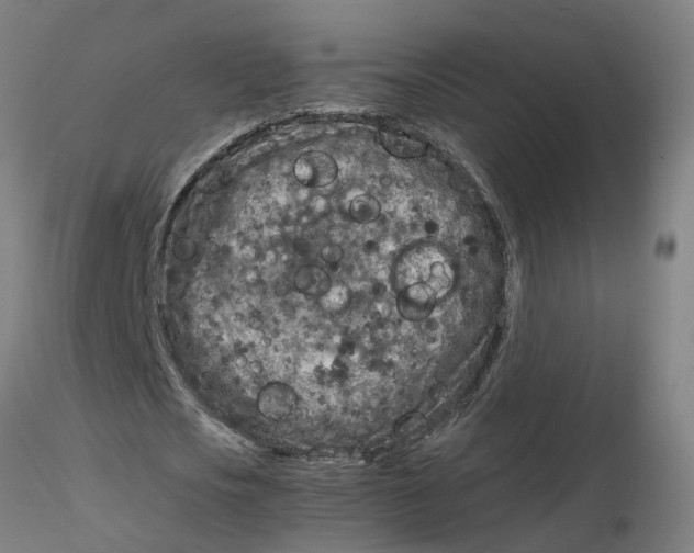 X0000116350721200912221501