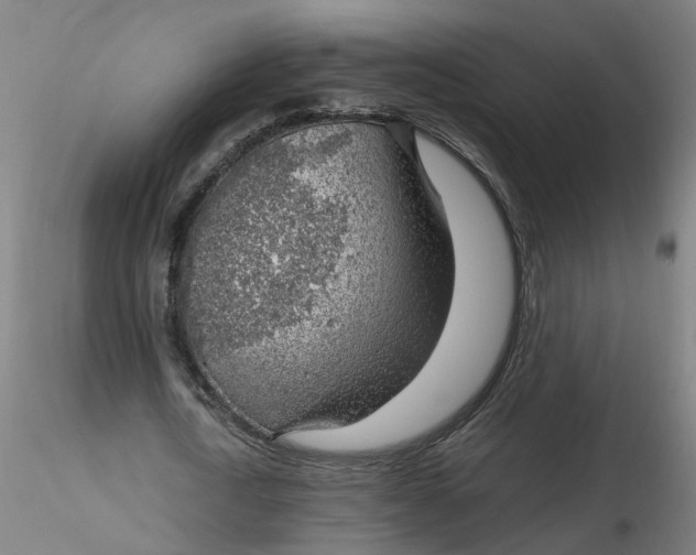 X0000116350722200912221501