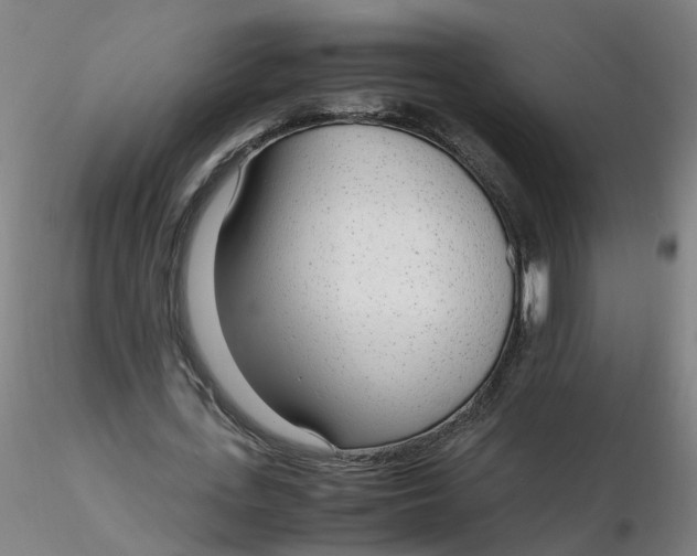 X0000116350723200912221501