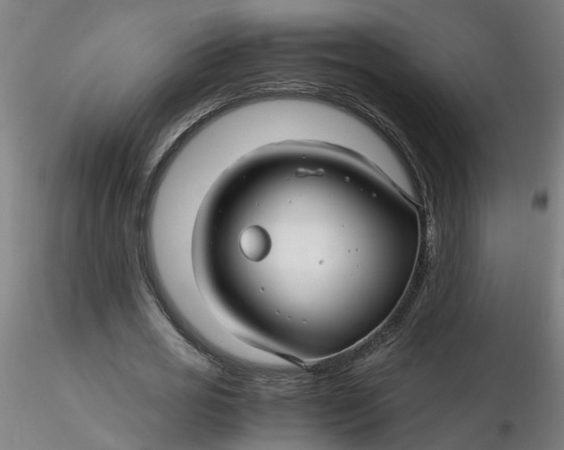 X0000116350725200912221501