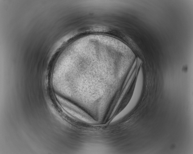 X0000116350726200912221501