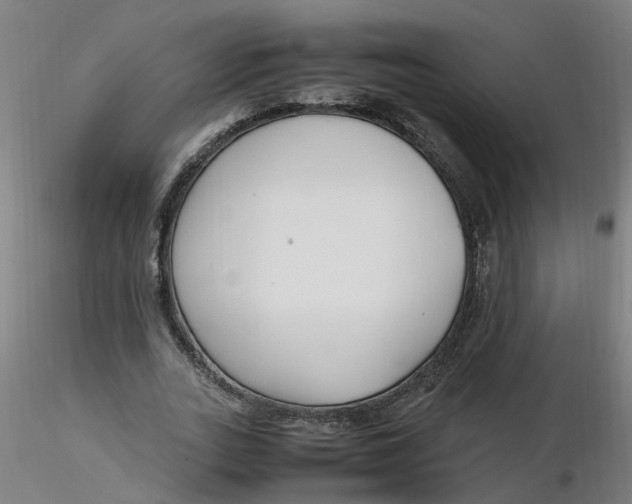 X0000116350727200912221501