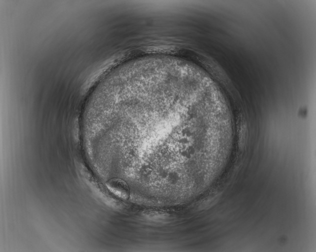 X0000116350729200912221501