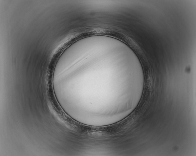 X0000116350730200912221501