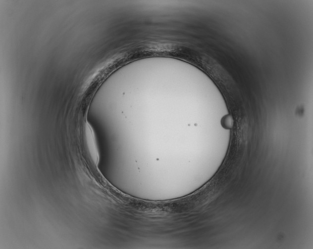 X0000116350731200912221501