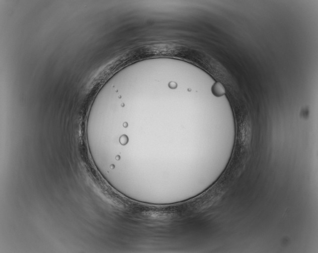 X0000116350733200912221501