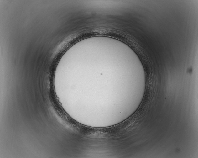 X0000116350734200912221501