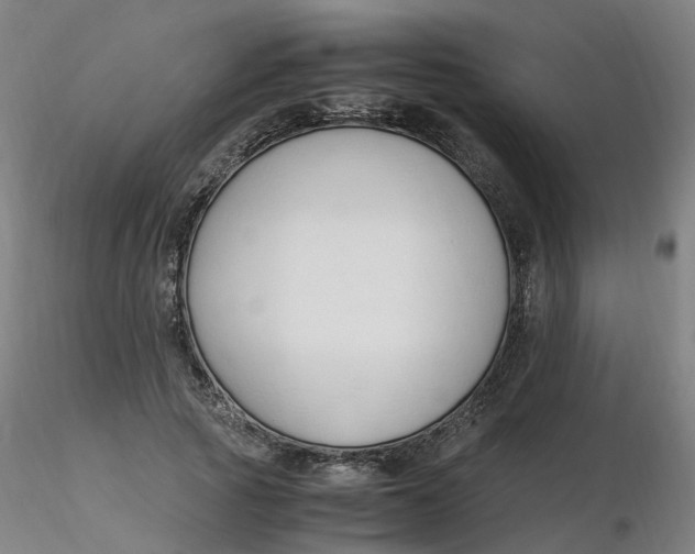 X0000116350737200912221501