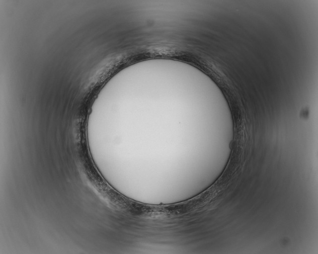 X0000116350738200912221501