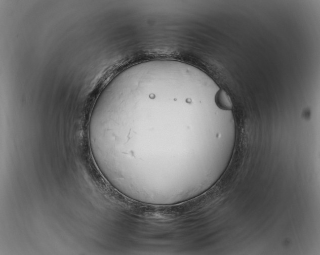 X0000116350739200912221501