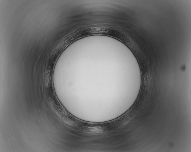 X0000116350741200912221501