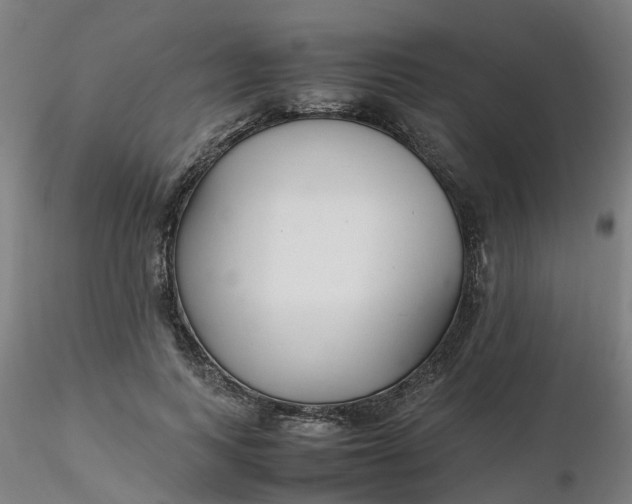 X0000116350743200912221501