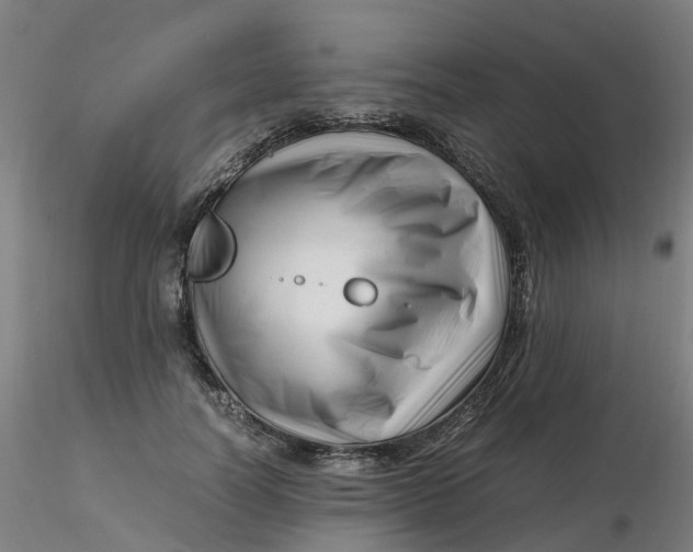 X0000116350746200912221501