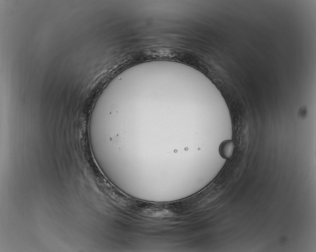 X0000116350747200912221501