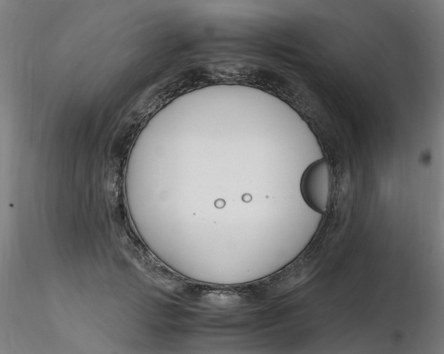 X0000116350749200912221501