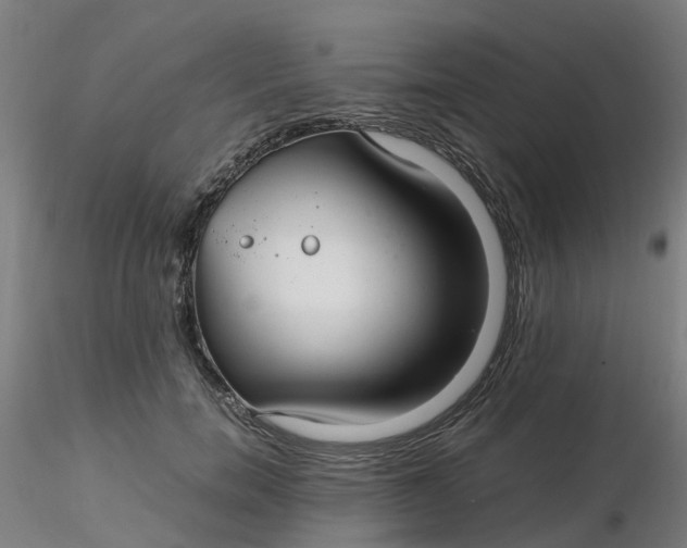 X0000116350750200912221501