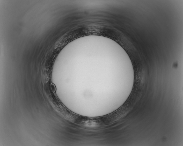 X0000116350751200912221501