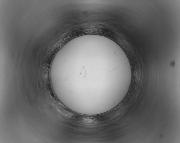 X0000116350753200912221502