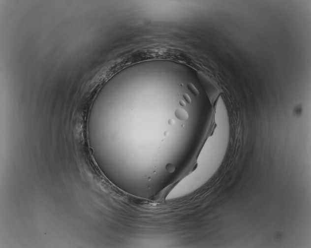 X0000116350754200912221502