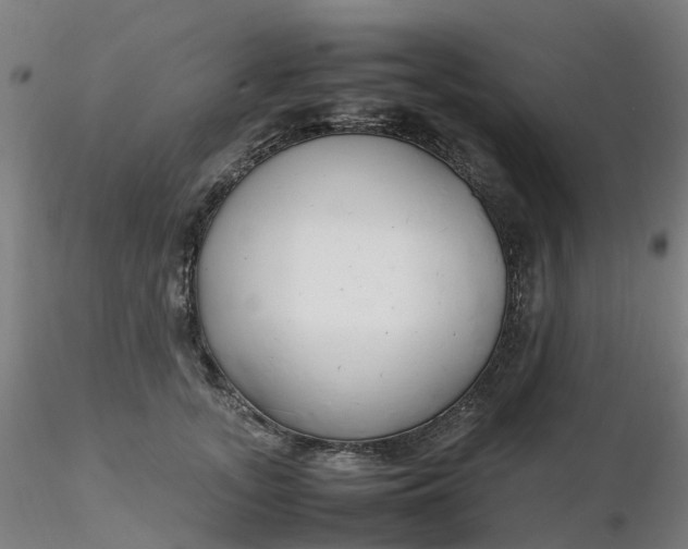 X0000116350755200912221502