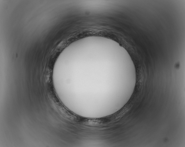 X0000116350758200912221502