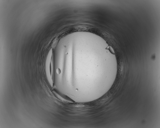 X0000116350759200912221502