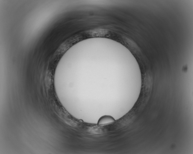 X0000116350761200912221502