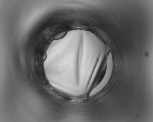 X0000116350762200912221502