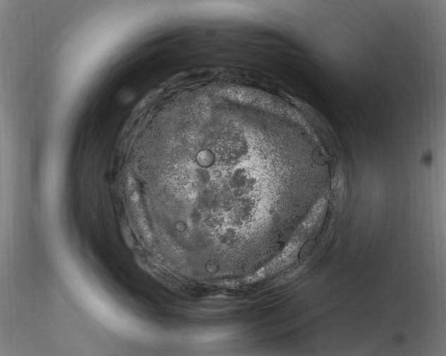 X0000116350765200912221502